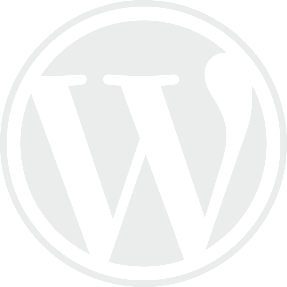 Mediendesign Experte Wordpress